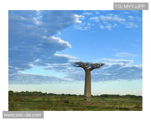 刘军的攀岩人生深度对话探索极限与自我超越的旅程