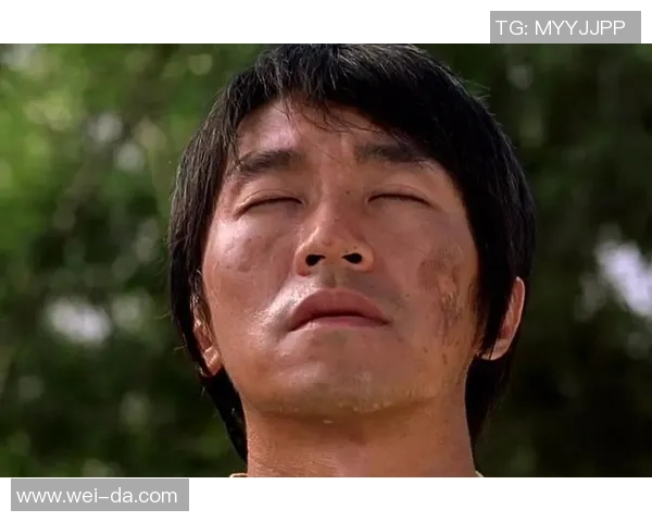 功夫足球电视剧观看指南及各大平台推荐一览