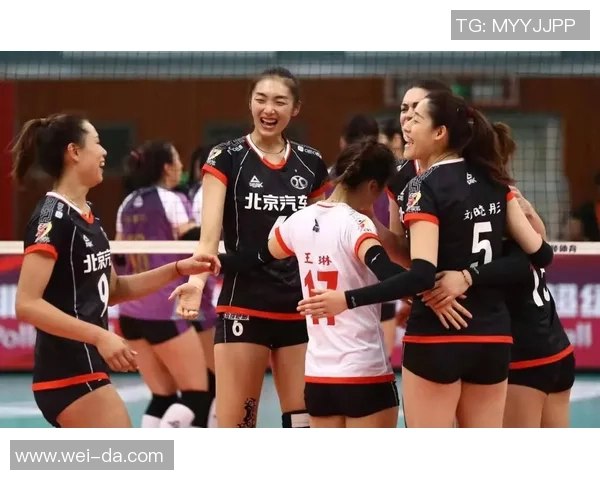 北京排球队团队协作的创新与变革引发热议探讨排球新未来
